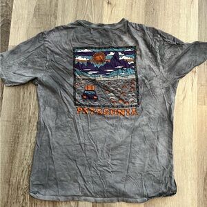 Patagonia tee